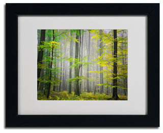 'Sugar Low' Matted Framed Canvas Art by Philippe Sainte-Laudy