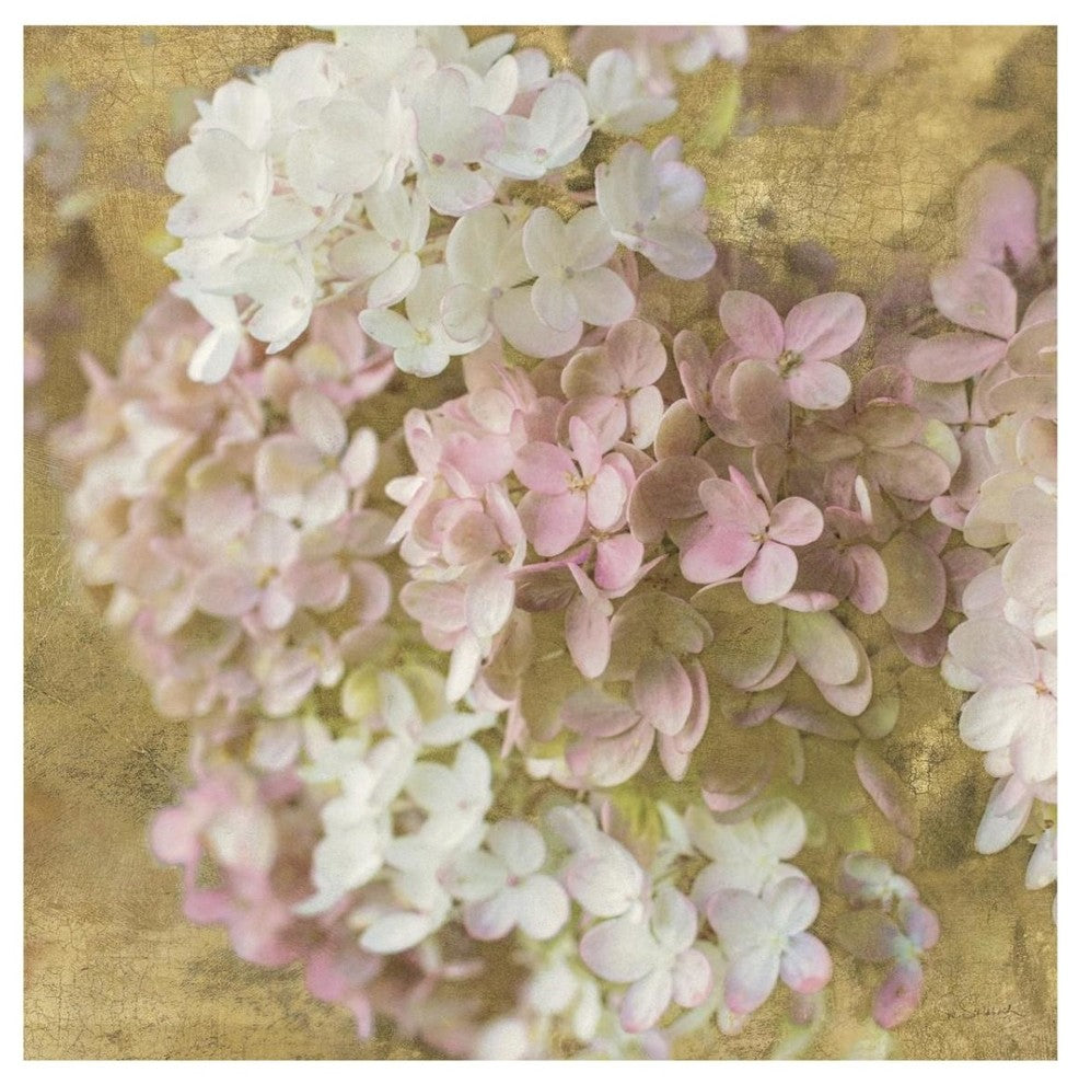 "Gilded Hydrangea II" Digital Paper Print by Sue Schlabach, 32"x32"