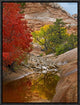 Maple and Cottonwood Autumn Foliage, Zion National Park, Utah, 12"x16"