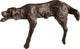 Lazy Dog Sculpture