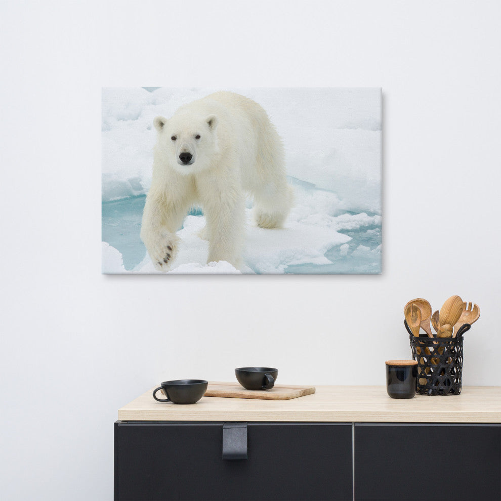 Giant White Polar Bear Walking On Icy Lake Wildlife Photo Canvas Wall Art Print, 24" X 36"