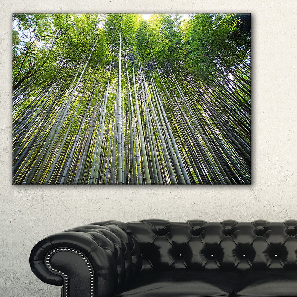 "Bamboo Forest of Kyoto Japan." Forest Canvas Wall Art Print, 40"x20"
