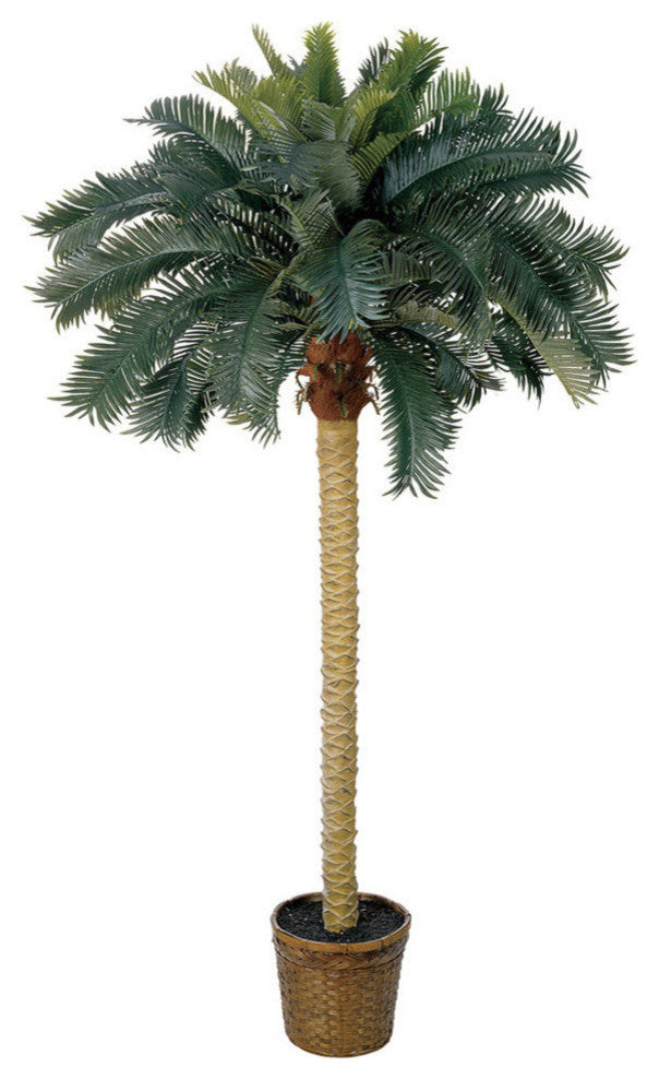 6' Sago Palm Silk Tree