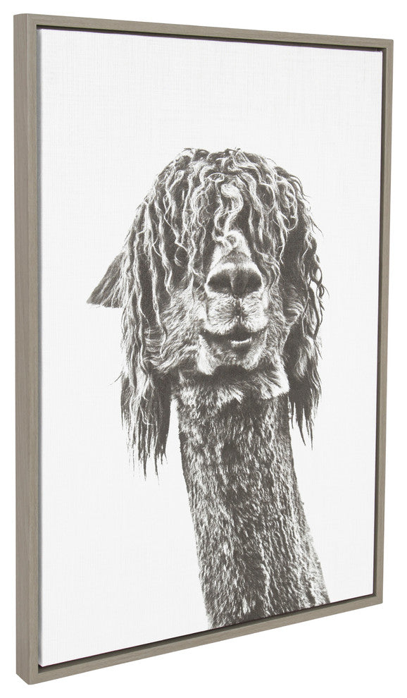 Sylvie Curly Hair Alpaca Animal Portrait Framed Canvas Wall Art, Gray