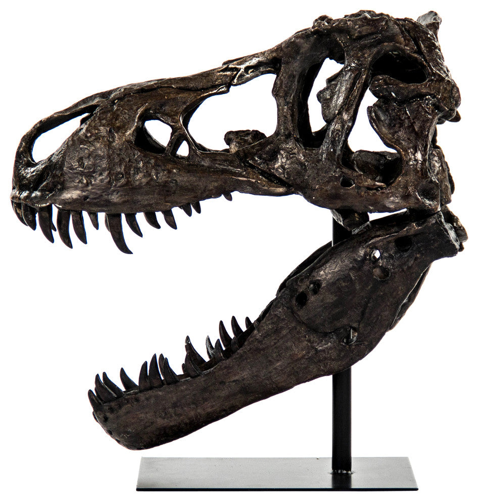 Dinosaur Skull Statue