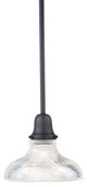 Edison Collection 1-Light Pendant, R08 Shade