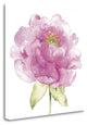 "Water Flower II" By Wild Apple Portfolio, Giclee Print on Gallery Wrap Canvas