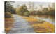 "Fall Serenade" Stretched Canvas Giclee by Diane Romanello, 24"x16"