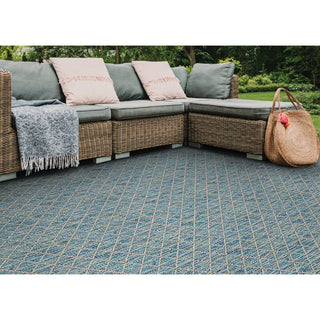 Trinidad Area Rug, Indoor/Outdoor, Carpet, Runner, Mat, Shifting Sands 4'x8'