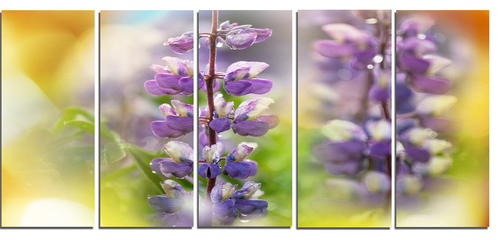 Beautiful Blue Lupin Flowers, Large Flower Canvas Art Print, 60"x28", 5 Panels