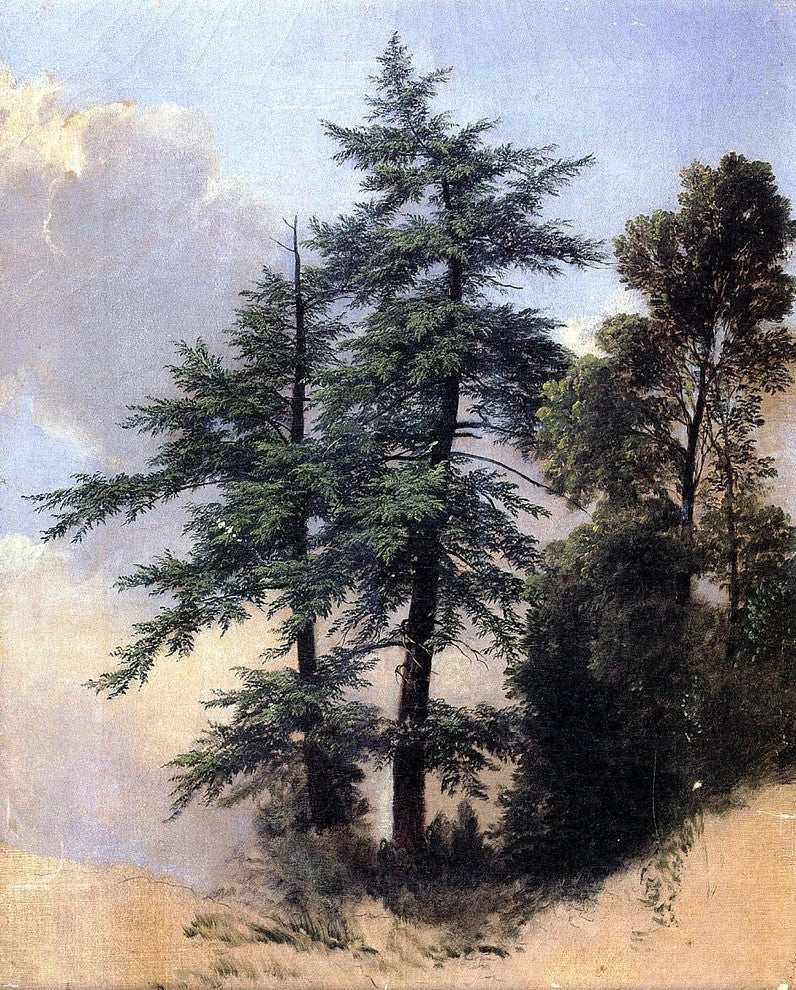 Asher Brown Durand Nature Study Trees Newburth N.Y. Wall Decal