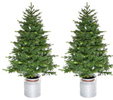 3.5' Porch Accent Tree, Rustic Farmhouse Metal Jug, Set of 2, No Lights