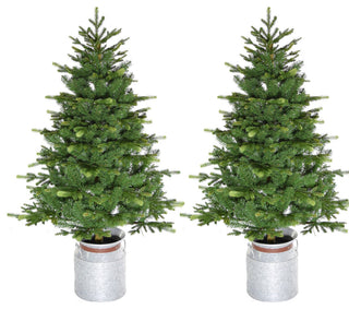 3.5' Porch Accent Tree, Rustic Farmhouse Metal Jug, Set of 2, No Lights