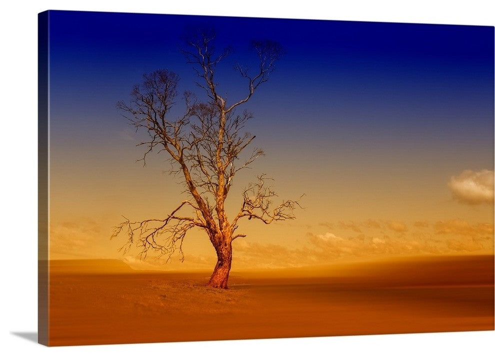 "Tinderbox Dream" Wrapped Canvas Art Print, 24"x16"x1.5"