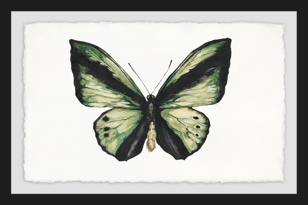 "Hunter Green Butterfly" Framed Painting Print, 30"x20"