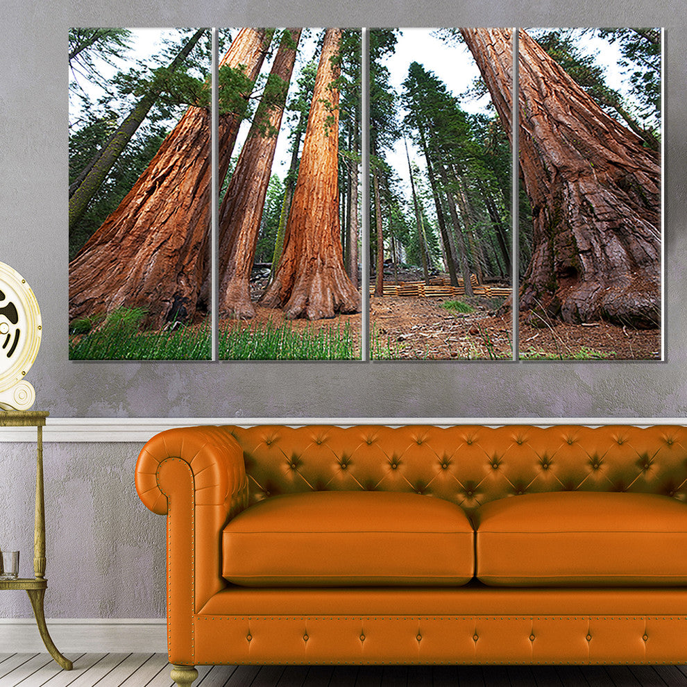 Three Large Sequoya Trees, African Landscape Canvas Art Print, 48"x28", 4 Panels