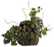 Grape Leaf and Chest Silk Plant