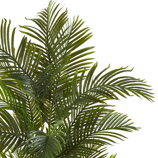 Alternate_white_close: close-up crop of the leaves and fronds on a white background.