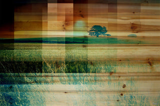 "Pusledge" UV Ink Print on Natural Pine Wood, 60"x40"