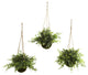 Eucalyptus, Maiden Hair and Berry Hanging Basket, Set of 3