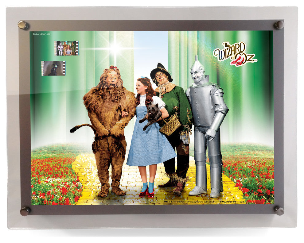 Wizard of Oz Acrylic LightCell