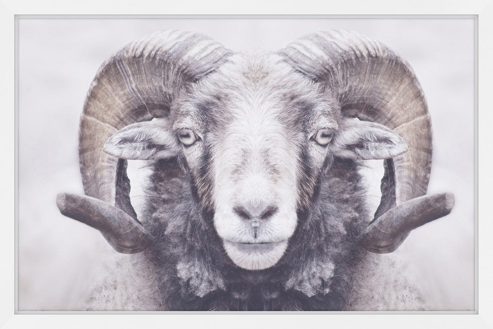 Marmont Hill, "Majestic Curled Horns" Framed Painting Print, 18x12