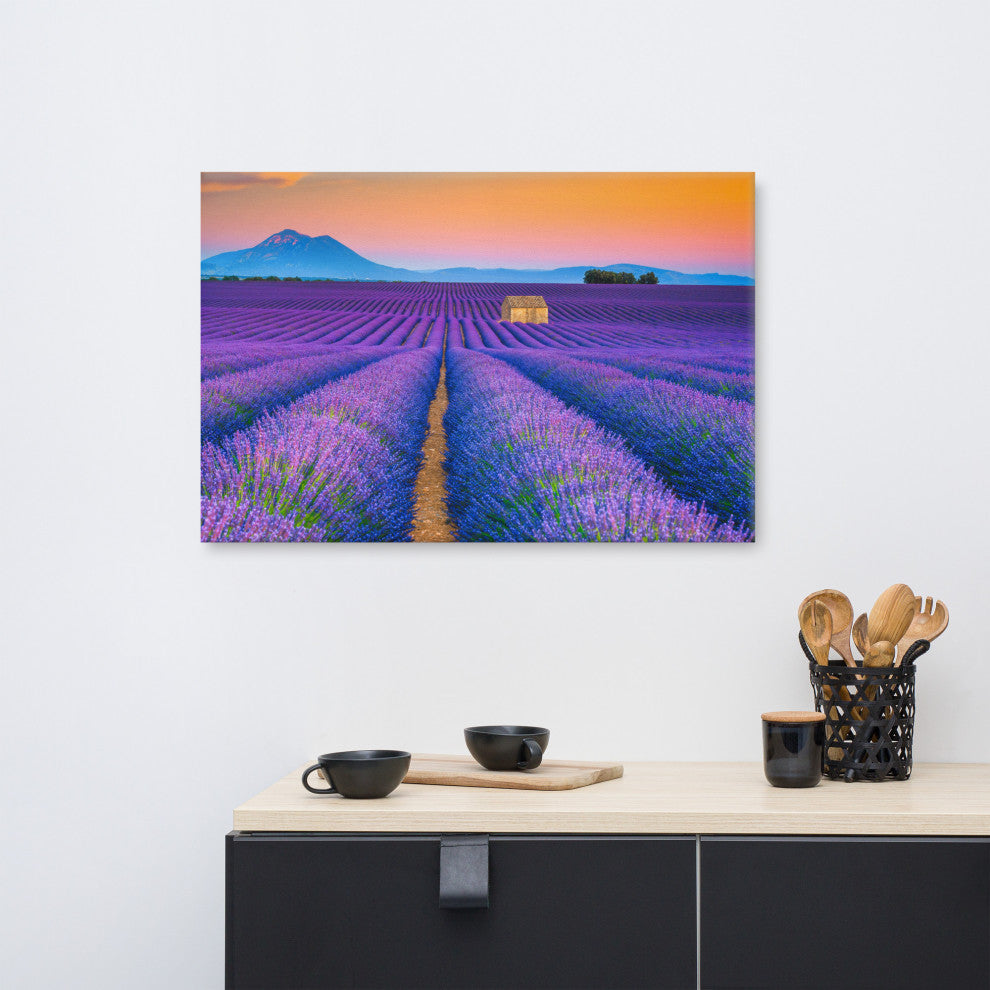 Blooming Lavender Field and Sunset Landscape Photo Canvas Prints, 24" X 36"