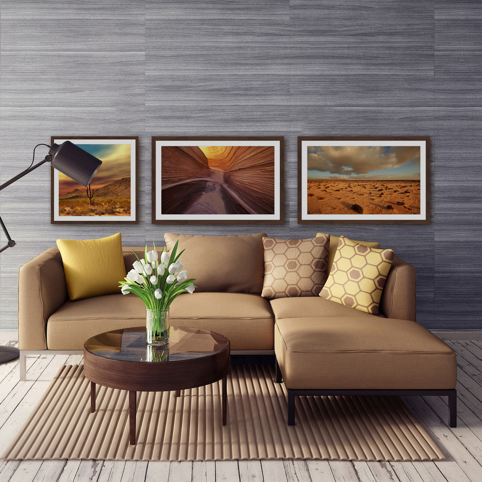 Desert Views Triptych, 48x12