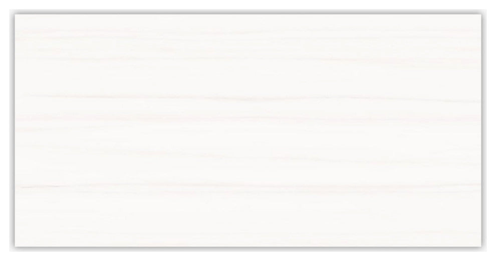 Premium Dolomite Polished 24x48 Porcelain Tile