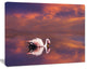 Huge White Flamingo in Lake, Animal Canvas Art Print, 20"x12"