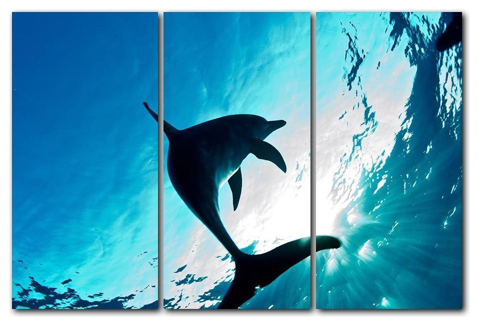 Ready2hangart Christopher Doherty Photography 'Dolphin' 3-PC Canvas Art Set