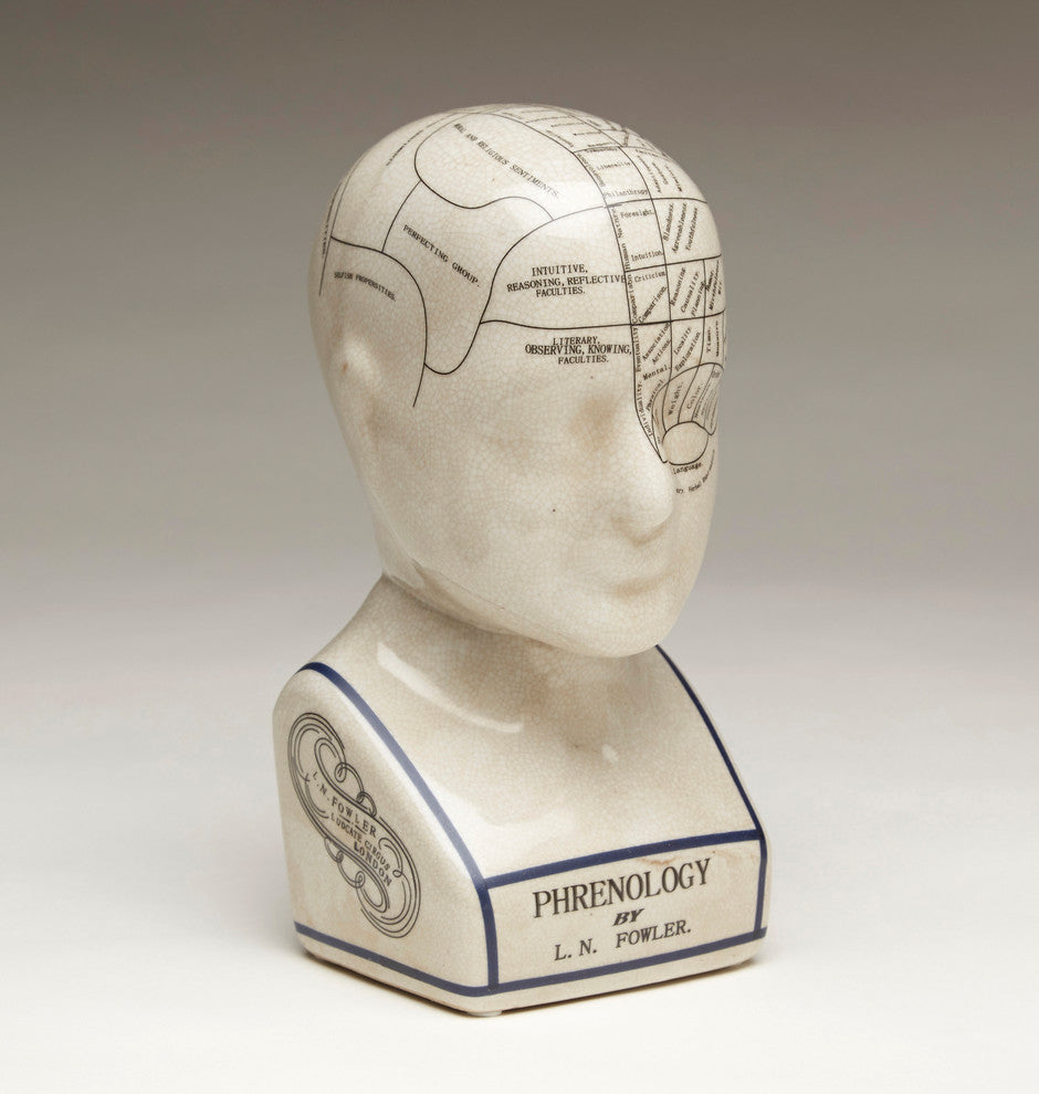 Small Phrenology Head