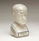 Small Phrenology Head
