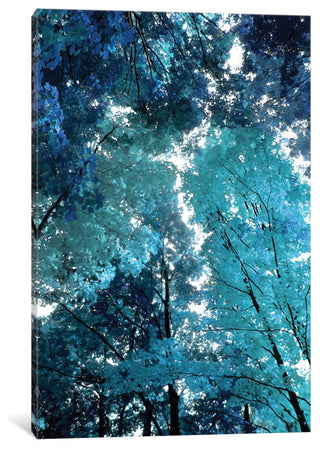 "Blue Forest I" by Derek Scott, Canvas Print, 18"x12"