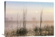 "Reeds In Sweet Bay Pond, Everglades National Park, Florida" Artwork, 32" x 24"