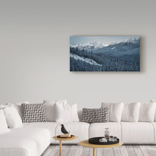 Ron Parker 'Winter Valley Elk' Canvas Art, 47"x24"