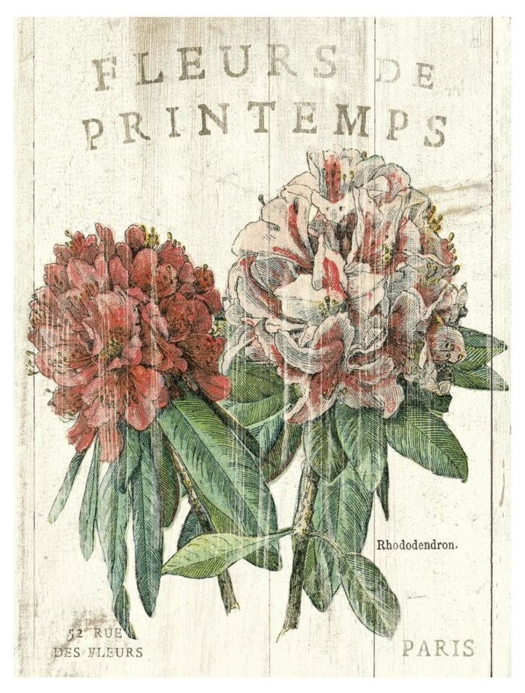 "Fleur de Printemps" Digital Paper Print by Sue Schlabach, 20"x26"