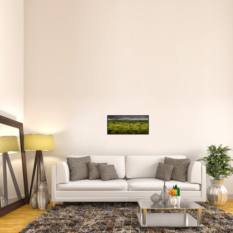 "Islandmoos I" Framed Canvas Giclee by Franz Schumacher, 31x14"
