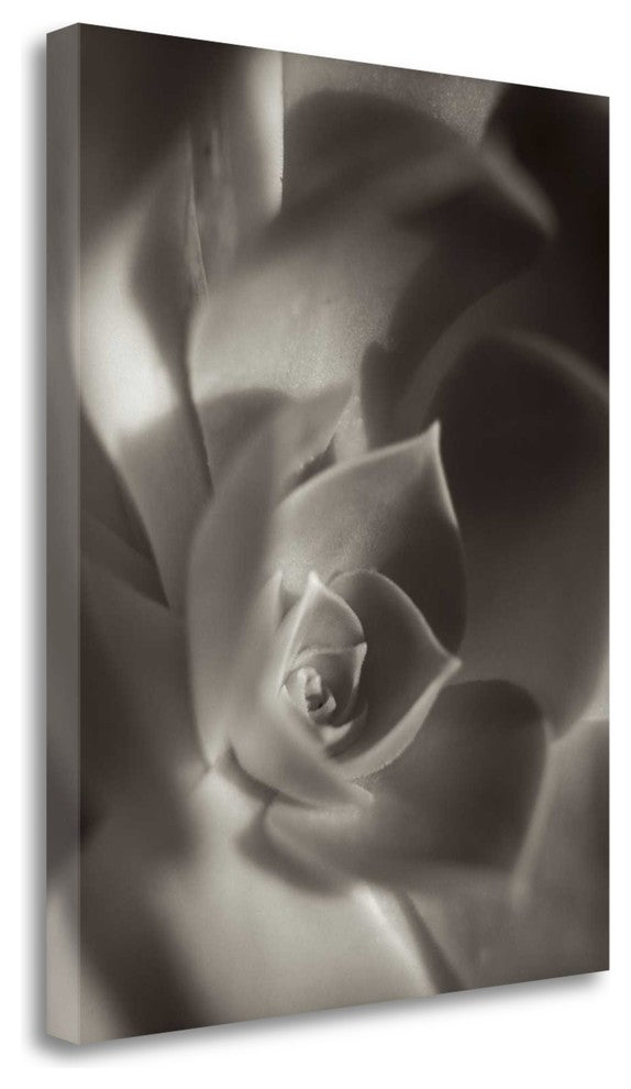 "Florison - 11" By Alan Blaustein, Giclee Print on Gallery Wrap Canvas