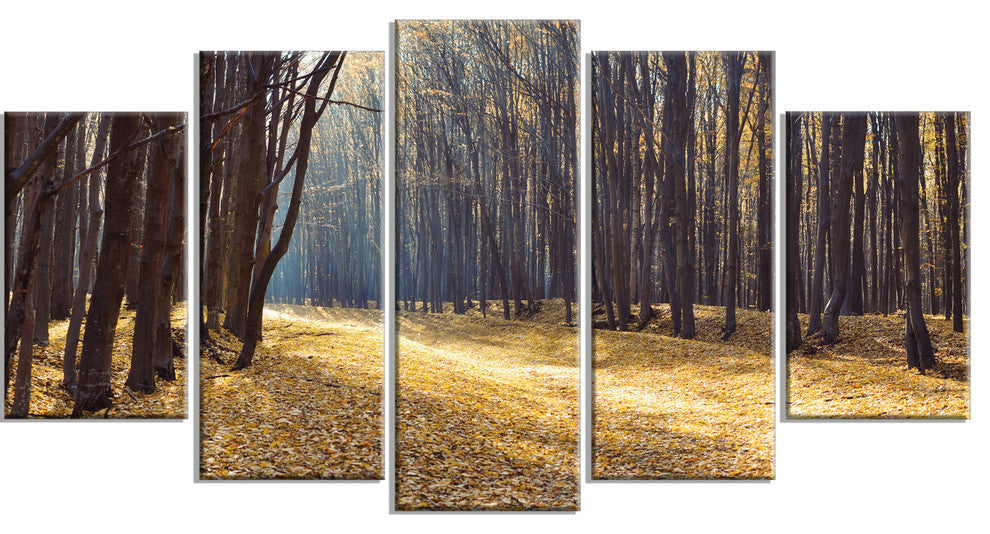 Path in the Fall Forest Panorama, Forest Canvas Art Print, 60"x32", 5 Panels