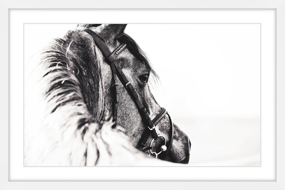 Marmont Hill, "Equus Profile" Framed Painting Print, 36x24