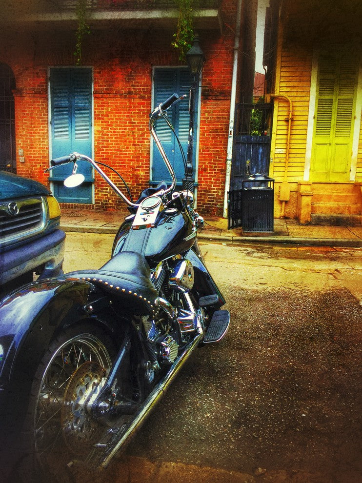 New Orleans "Ape Bars" Stretched Canvas Giclee, 24"x32"