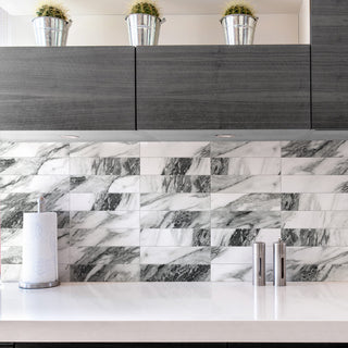 Touche Zebre Porcelain Floor/Wall Tile