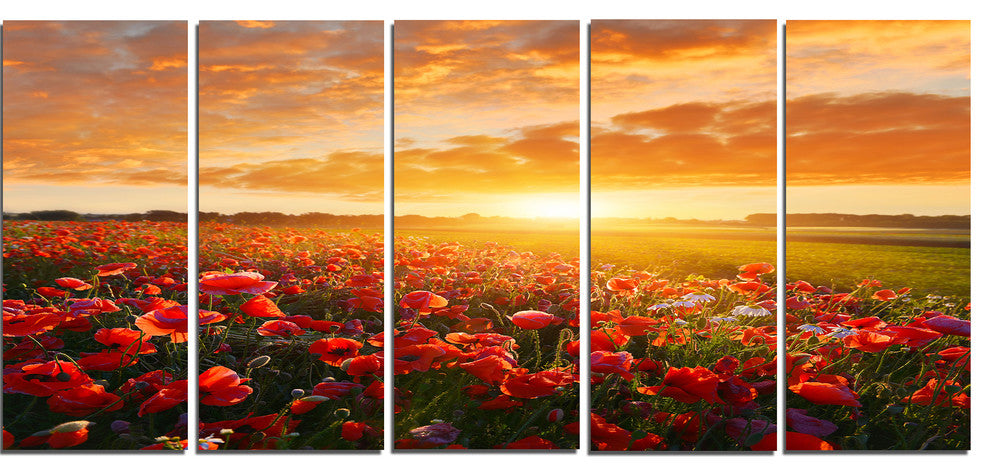 Beautiful Poppy Field at Sunset, Abstract Wall Art Canvas, 60"x28", 5 Panels