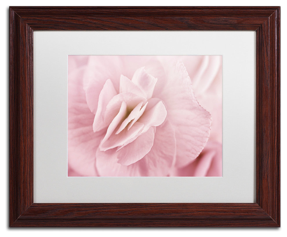 Cora Niele ''Begonia Flower'' Matted Framed Art