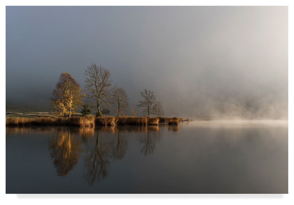 Tom Meier 'Foggy Morning Island' Canvas Art, 24"x16"