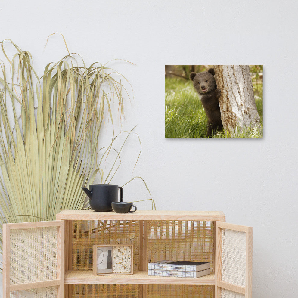 Baby Grizzly Bear Cub Behind Tree In Meadow Wildlife Photo Canvas Wall Art Print, 18" X 24"
