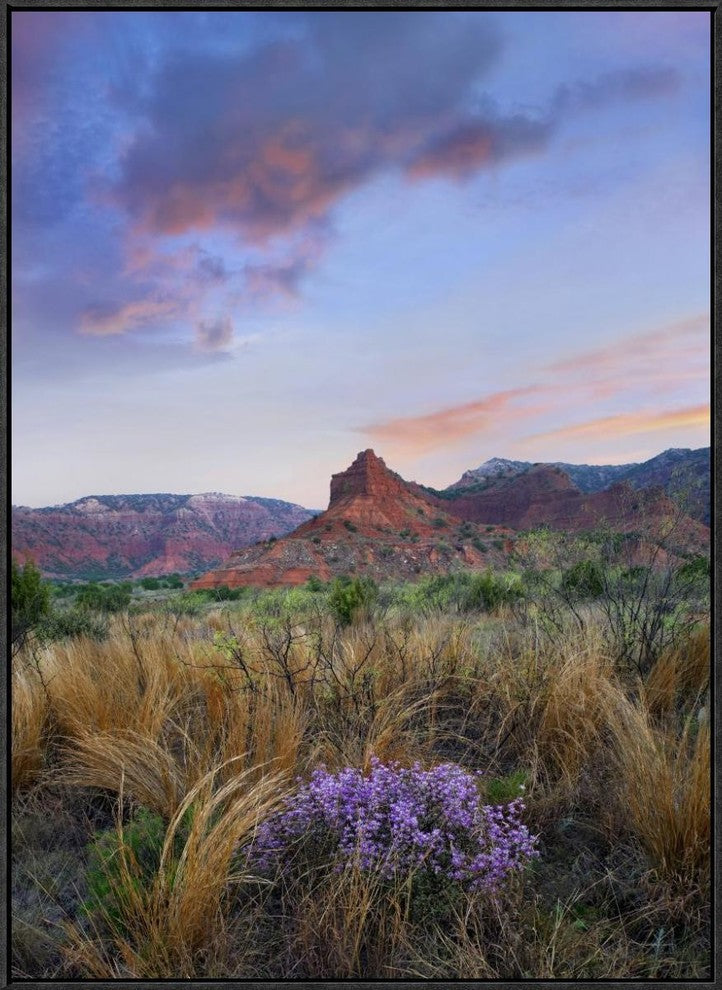 "Caprock Canyons State Park, Texas"  by Tim Fitzharris, 25x33"