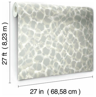 Leopard Rosettes Wallpaper