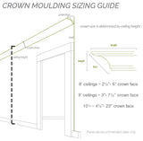 Foster Coin & Bead Crown Moulding
